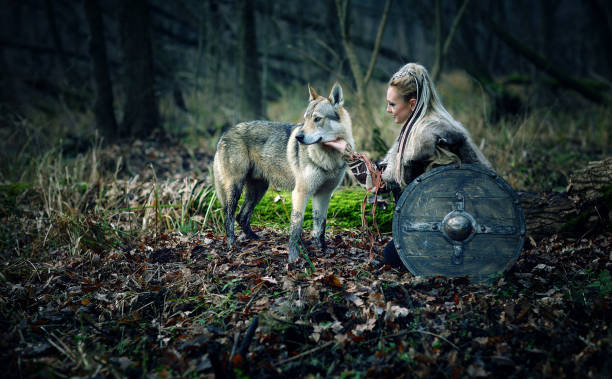 Medieval Movie Scene with a Scandinavian Viking warrior woman with a wolf in forests stock photo