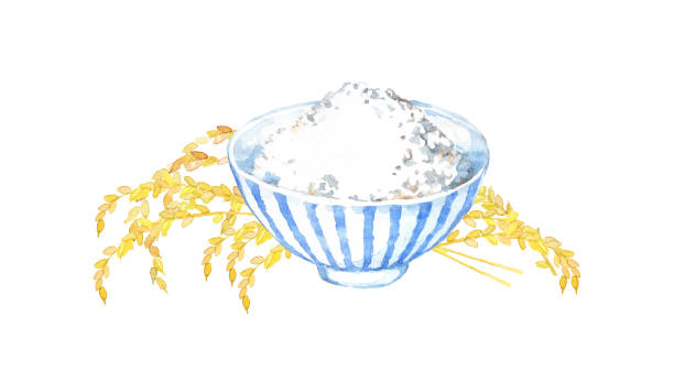 ilustrações, clipart, desenhos animados e ícones de plantas japonesas de arroz e arroz - rice white rice backgrounds cereal plant