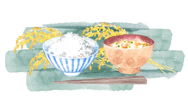 ilustrações, clipart, desenhos animados e ícones de comida japonesa com planta de arroz - rice white rice backgrounds cereal plant
