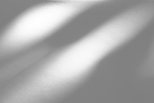 Blurred overlay effect for photo. Organic drop shadow and dappled light on a white wall. Abstract neutral nature concept background for design presentation. Shadows for natural light effects