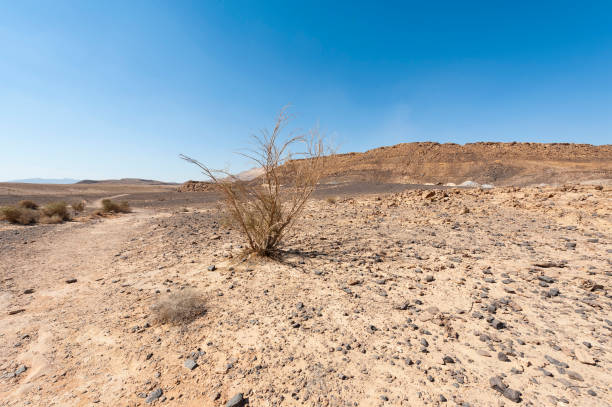 istock Negev Desert in Israel 1262218423