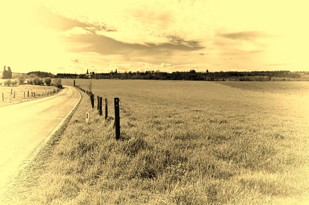 Country road between spring fields with green grass in Belgium. Belgian landscape with meadow and pasture. Vintage style toned picture
