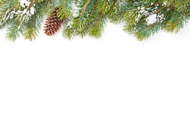 istock Christmas card with fir tree 1262246204