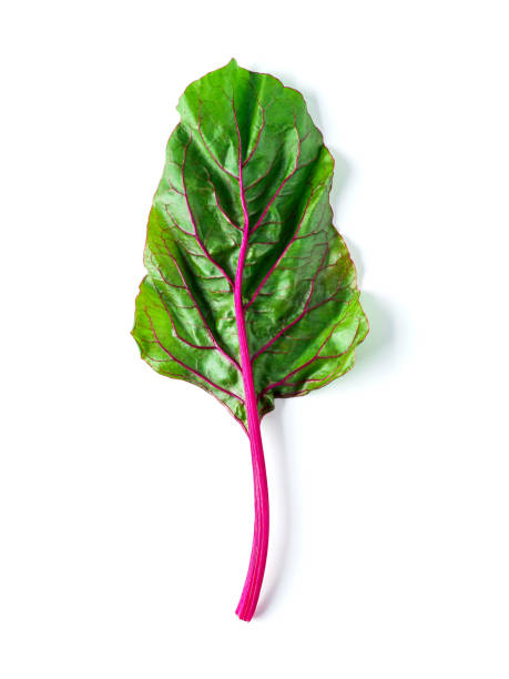 istock swiss rainbow chard isolated on white 1262247274