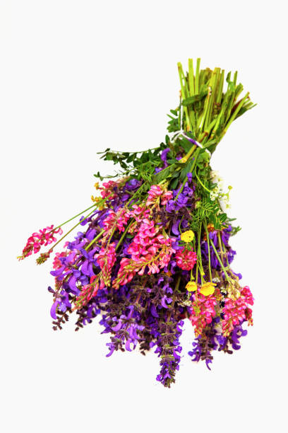 istock Buch of coroful meadow flowers on white. 1262249116