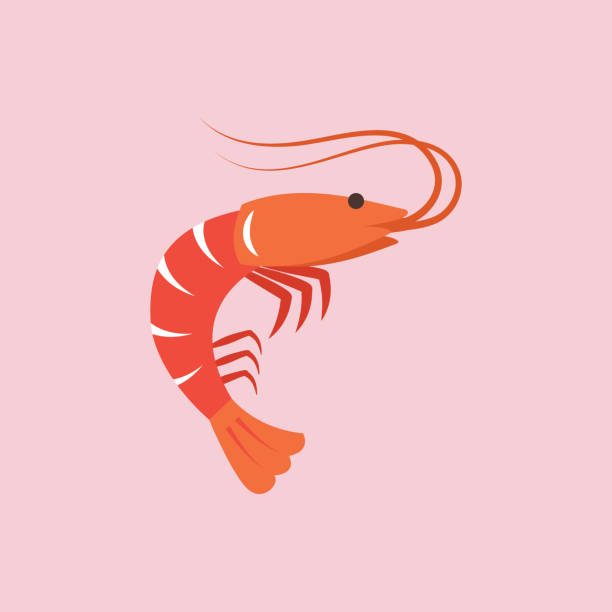 illustrazioni stock, clip art, cartoni animati e icone di tendenza di gamberi in stile piatto - shrimp