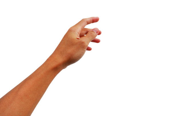 istock verb about hand and body part in gesture 1262256241