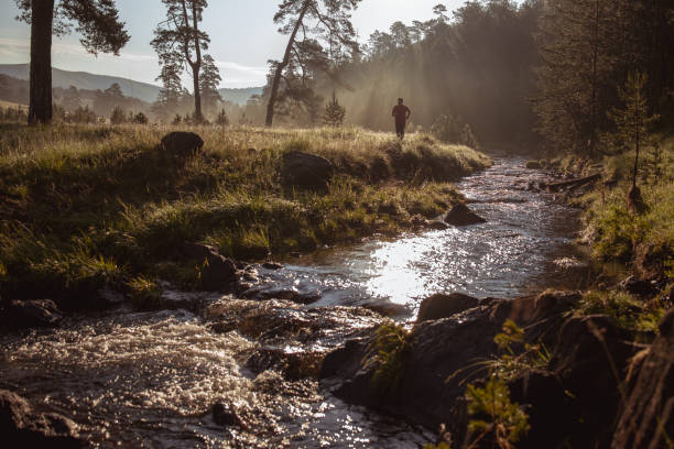 istock Morning jogging in a field 1262259462