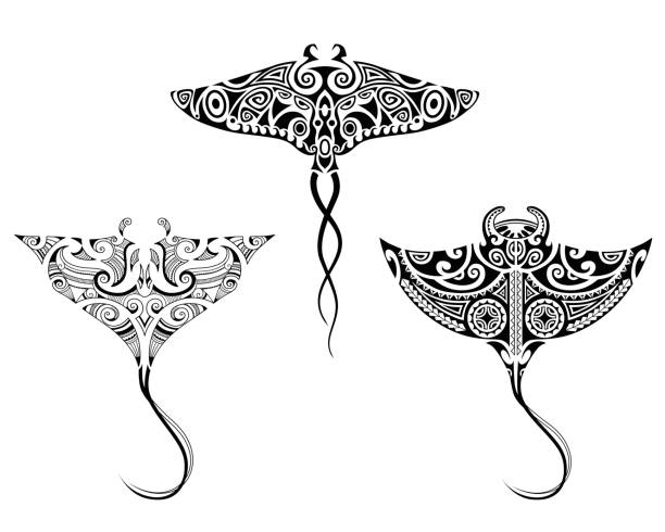 ilustrações, clipart, desenhos animados e ícones de conjunto de raios manta no estilo maori. esboço de tatuagem estilo etno tribal. - manta ray