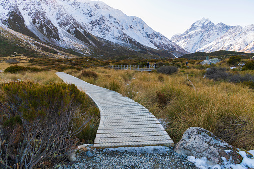 scenes from south island of New Zealand