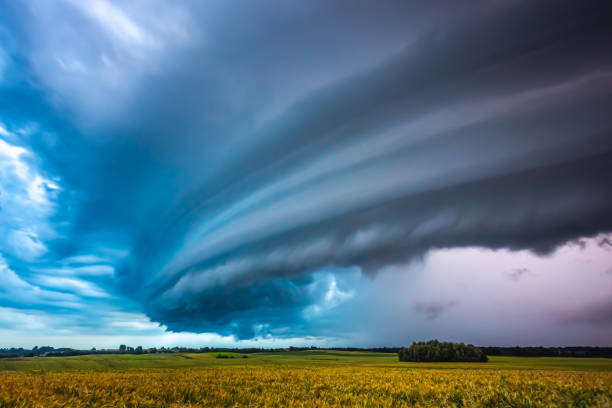 istock Shelf storm clouds with intense tropic rain 1262270859