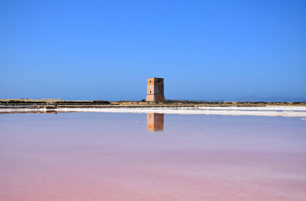 istock Salt pans of Trapani 1262271481