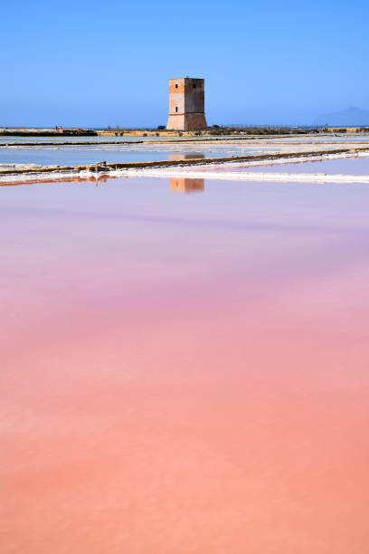 istock Salt pans of Trapani 1262271521