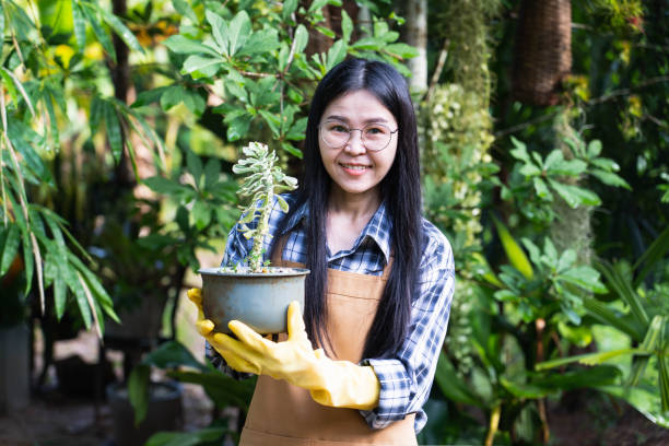 istock Selective focus Beautiful young asian gardener holding a tree in a pot,smiling and looking at camera.Owner of an outdoor garden supplies and plants store.Nature and ecology theme 1262273518