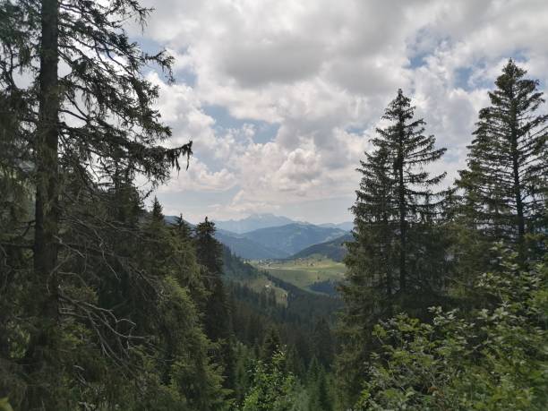 istock Mountain in Haute-Savoie 1262273919
