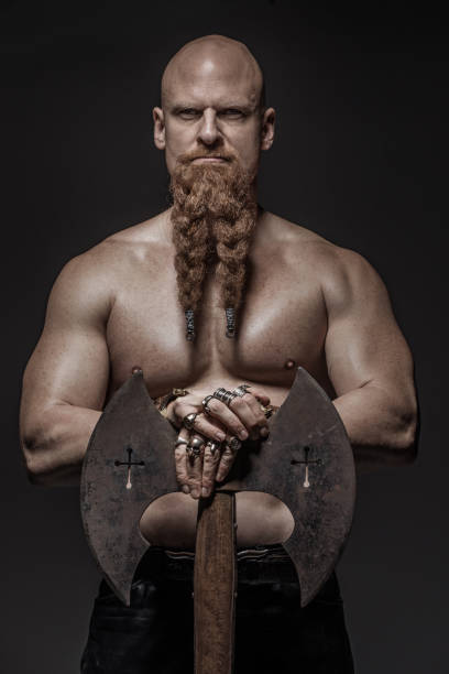 istock Portrait of a Warrior King 1262273987