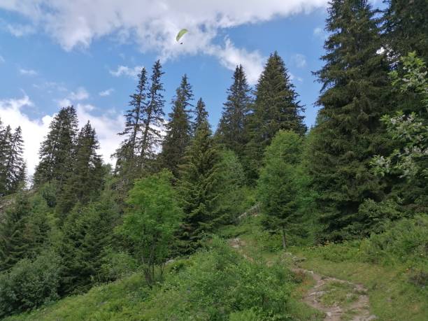 istock Mountain in Haute-Savoie 1262274035