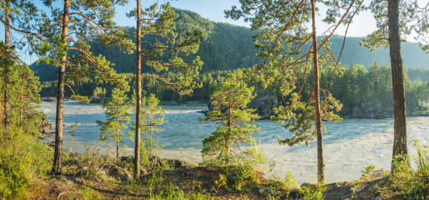 istock View of the Katun river, Altai. Summer landscape, evening light. 1262274521