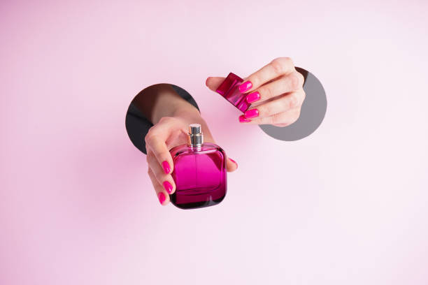 Beautiful woman hands holding a bottle of perfume on a pink background. Beautiful manicure concept. stock photo
