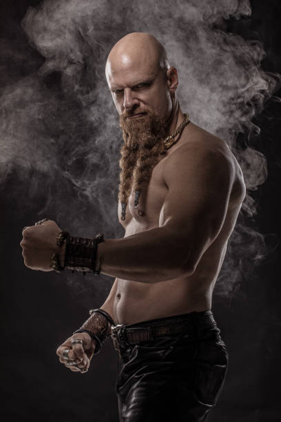 istock Portrait of a Warrior King 1262275366