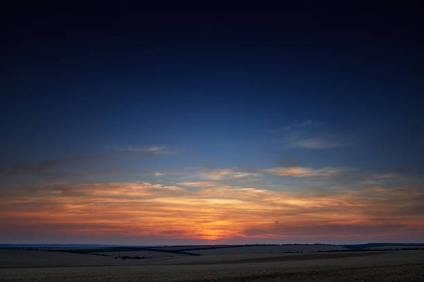 wheat field in a beautiful sunset, sunlight and clouds