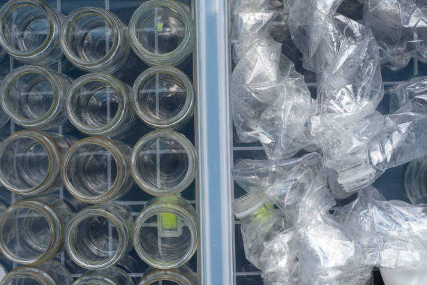 istock Sorting glass containers and plastic bottles for recycling and reuse. 1262275720
