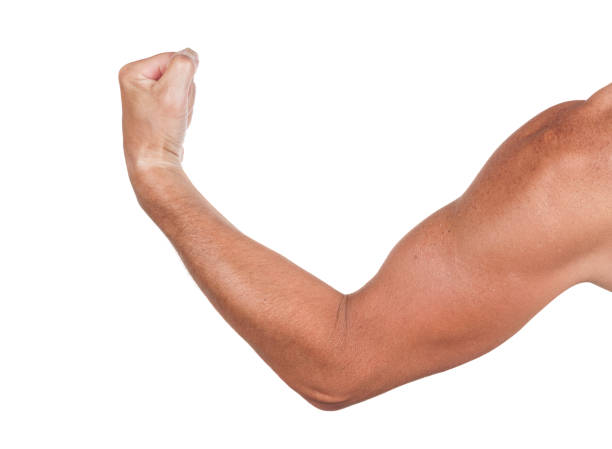 istock Man`s muscular arm isolated on white background 1262279272