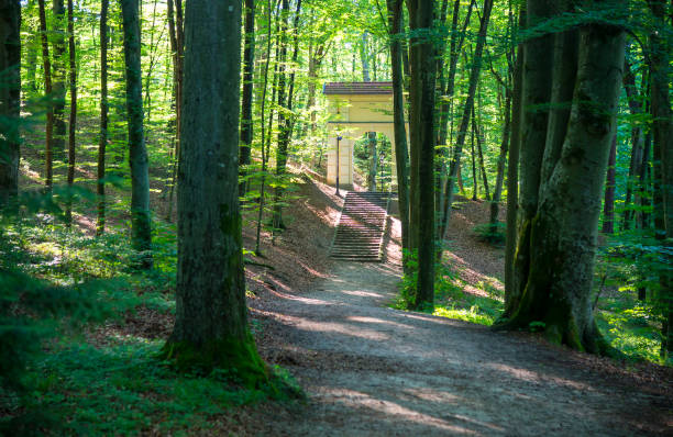 istock Beautiful park in Wejherowo town 1262280831