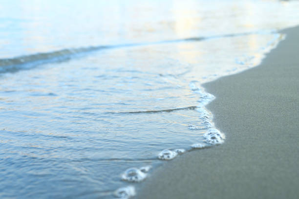 istock blurred wave of the sea on the evening sand beach 1262281007