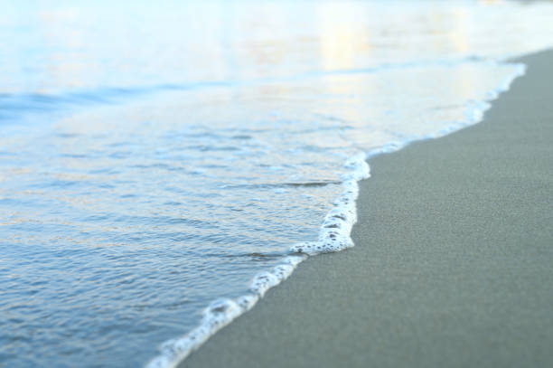 istock blurred wave of the sea on the evening sand beach 1262283744