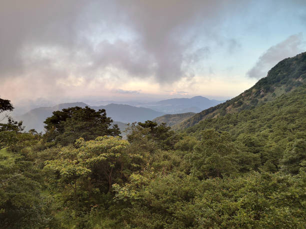 istock Panoramic view from Tai Mo Shan, Hong Kong 1262286305
