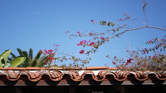 Mexican colonial style suburban, hispanic house exterior, green lush garden, San Diego, California USA. Mediterranean terracotta ceramic clay tile on roof. Rustic spanish tiled rooftop. Rural details.