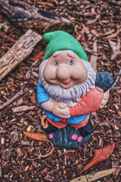istock Brisbane garden gnome 1262287890