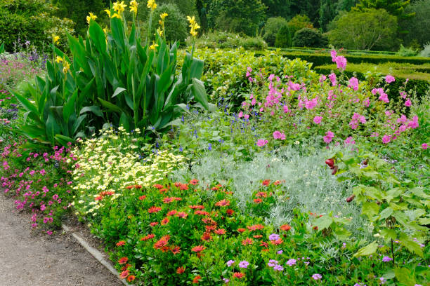 istock Lush English Flowerbed 1262287958