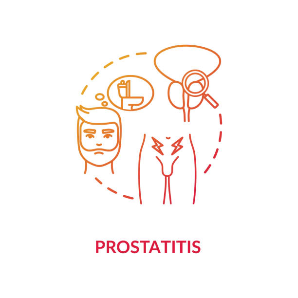 Prostatitis concept icon Prostatitis concept icon. Mens health problem, common urological disease idea thin line illustration. Prostate gland inflammation, infection. Vector isolated outline RGB color drawing phallic object stock illustrations