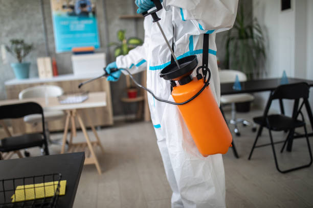 istock Man in protective suit disinfecting bank workspace 1262291706