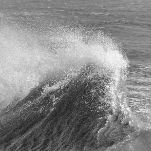 istock Amzing image of individual wave breaking and cresting during violent windy storm in black and white with superb detail 1262291849