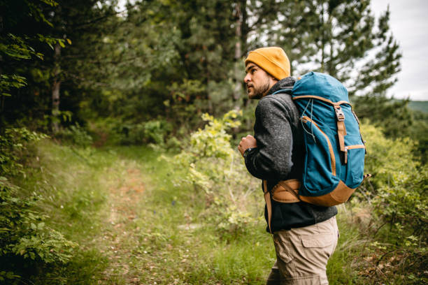 Young handsome man hiker with yellow cap and backpack walking through pine tree forest