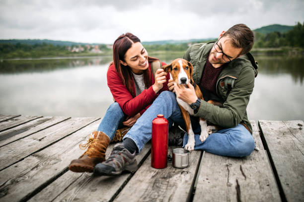 istock Playful couple and cute dog 1262293201