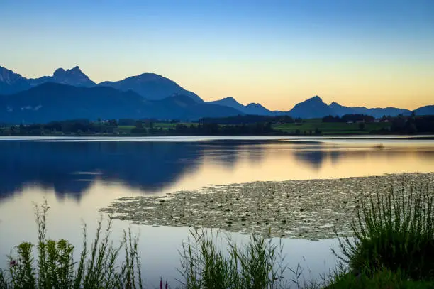 View of the Hopfensee with the Tannheim mountains in the background, Allgäu, Swabia, Bavaria, Germany
