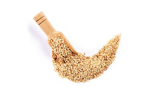 sesame seeds - sesame plant africa agriculture imagens e fotografias de stock