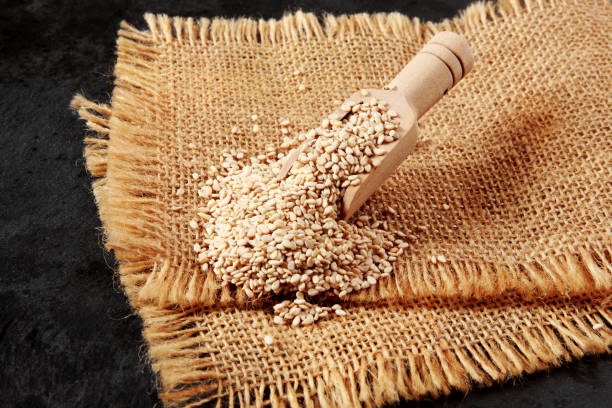 sesame seeds - sesame plant africa agriculture imagens e fotografias de stock