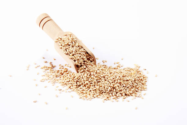 sesame seeds - sesame plant africa agriculture imagens e fotografias de stock