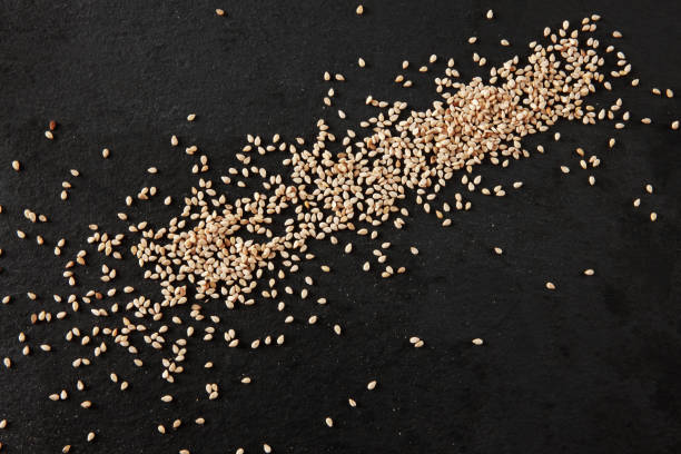 sesame seeds - sesame plant africa agriculture imagens e fotografias de stock