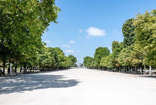 Wide footpath in Tuileries Gardens in Paris, public park.