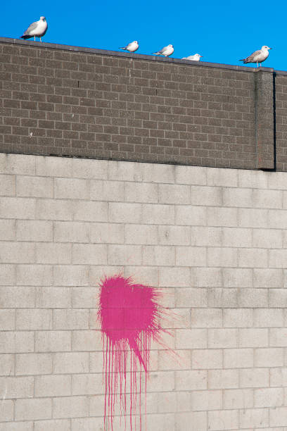Concrete and brick wall with colorful red paint splash, seabirds perched on the wall on a bright blue sky background