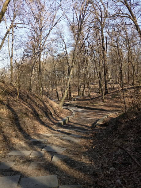 istock road in the forest near the lake 1262298962