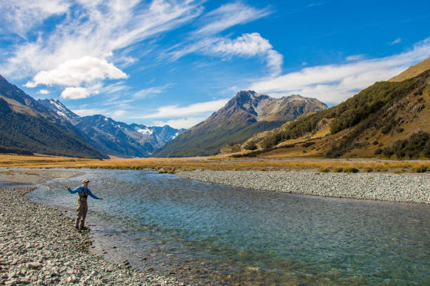A fly fisherman casting for trout on the Ahuriri River in New Zealand stock photo