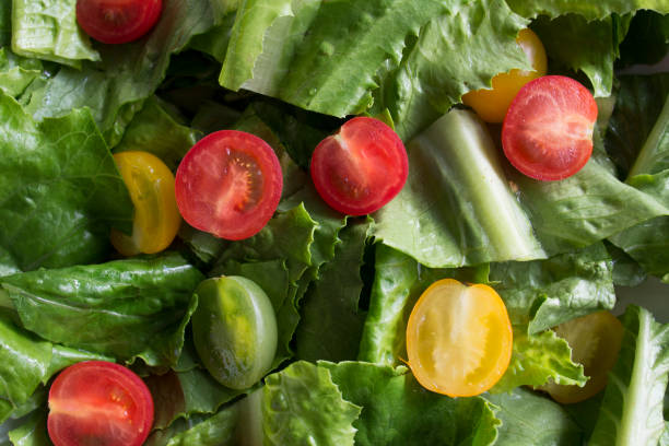 Salad bowl with tomatoes and cos