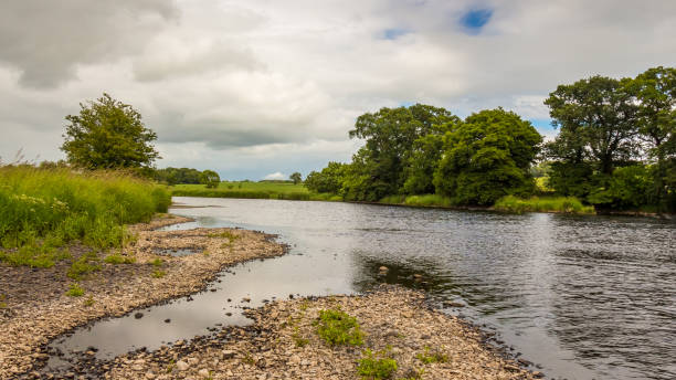 żwirowy bar i niska woda na nizinnej szkockiej rzece latem - river annan zdjęcia i obrazy z banku zdjęć